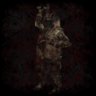 Seeker of Shirikodama