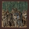 The Wolves Found You Faster