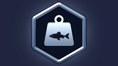 Gonna Need a Bigger Boat