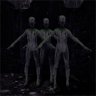 Explore The Creepy Woods Together