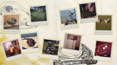 Shutterbug