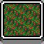 Berries