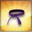 Get one Purple Belt