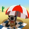 Hot Desert