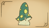 Fun with Fungi