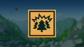 Tree Hugger