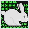Follow the white rabbit