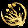True Aurum