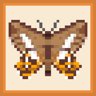 Winged It!