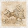 Fertile-Symbiosis-Foraging