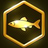 Goldfish?