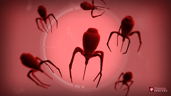 Nano-Virus Master