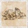 Carnivore-Pack-Hunting-Fat-Tissue