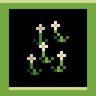 Weeds Victory
