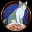 The Purr-fect Guide