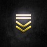 Expert Officer