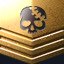 Gold Veteran