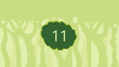 Level 11
