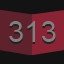 313 level