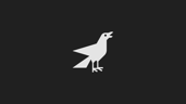 Birder