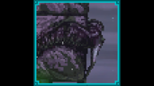 Backdoor Man
