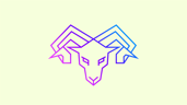 Aries B