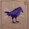 The Dark Crows
