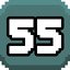 Level 55