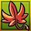 Devil's Weed