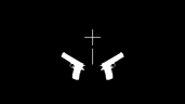 All Firearms collected