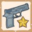 P250 Expert