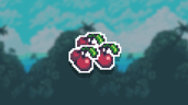First cherry
