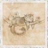 Carnivore-Climbing-Fat-Tissue