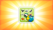 Bird-fancier
