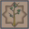 Grow, Little Tree, Grow!