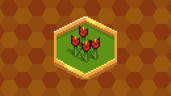 Crimson Field