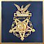 Medal of Honor