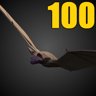 100 Bat Kills