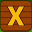LATIN CAPITAL LETTER X