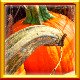 Pumpkins Complete!