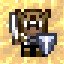 Bear Arms