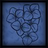 HYDRANGEA