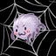 Clear spider web