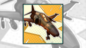 Expert Pilot