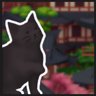 Find 9 cats