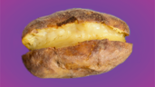 Mash Pit