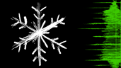 A Terrifying Blizzard