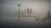 Deluge