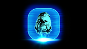Happy Go Wookiee