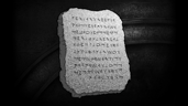 The Truth to the Grave